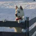 grubbp1953@gmail.com