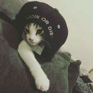 Judij