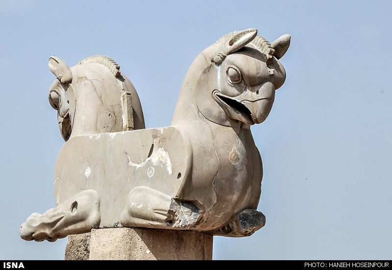 mohsen