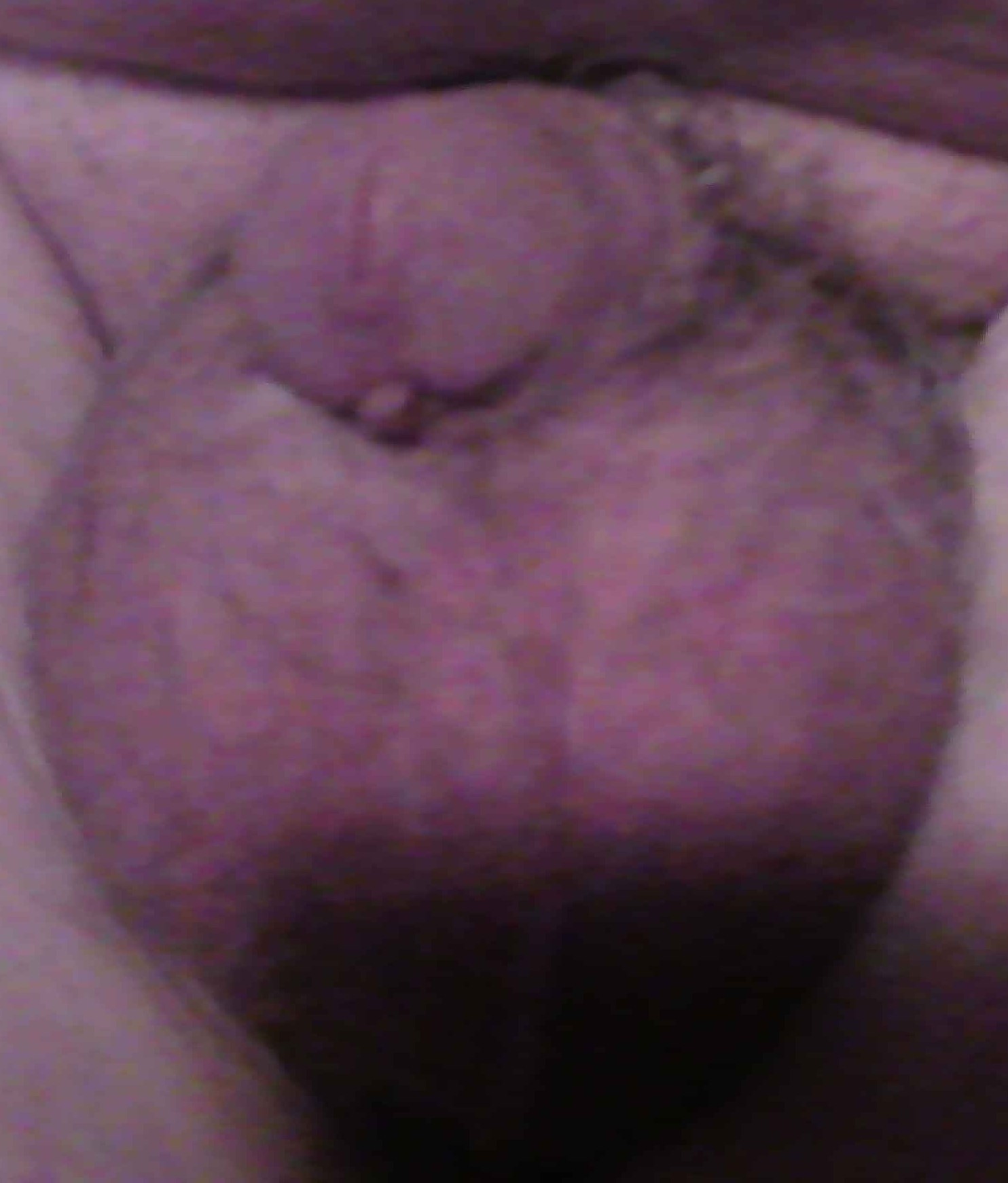 frans