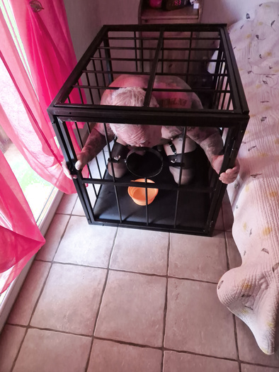 Mon esclave en cage