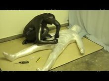 Plastic wrap bondage and fucked