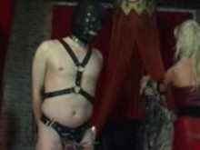 CBT Stock - Cock and Ball Torture