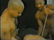 White slave used by Black Bulls