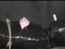 Insex YX 24h Domination session Part 3
