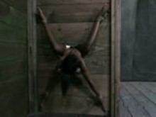 Dominated and Humiliated Anna Foxxx