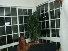 Vanilla - White Cock Two Black Whores