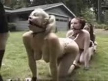 Pet Girl Training - Lesbian