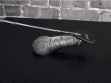 Black Cock Whipped and Trampled - CBT