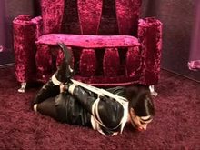 Hogtied Elegant Brunette