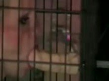 Caged Slave's training
