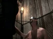 TS Mistress Dominates Male Slave