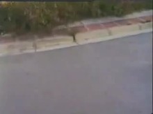 Outdoor Humiliation - Dogging Whore     