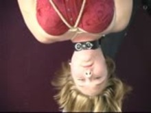 Shibari Suspension and BDSM