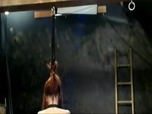 Whipped in Steel Restraints