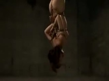 Japanese Flogging in Suspension