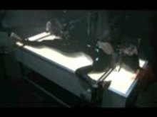 Say Please - Training Part 1