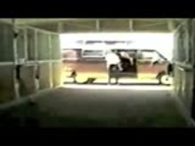 Vintage Lesbian Pony Training