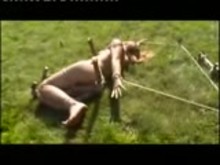 Outdoor Bondage - Hardcore
