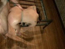 Tied and Anal Fucked Sub girl