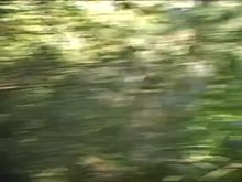 Slut used dominated and humiliated part 2