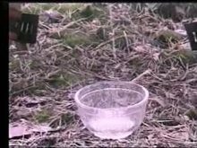 Czech BDSM - Lesbian Outdoors Piss and Humiliation