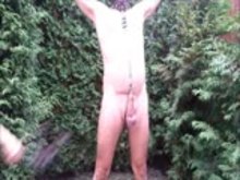 Cock Whipping - Bruised CBT