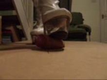 Cock Whipping and Punishment