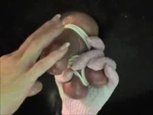 Ms Sadie Teasing Tightly tied cock and balls
