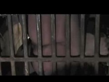 Tortured and Caged