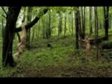 Outdoor BDSM - Behind The Scenes