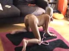 Master's Sexy Pet