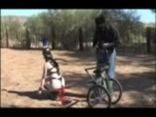 Training the Ponygirl Part 3