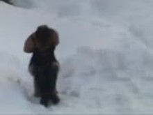 Snow BDSM - Outdoor Domination