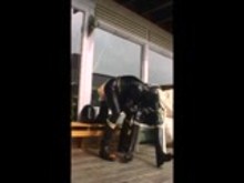 Rubber Couple - Homemade