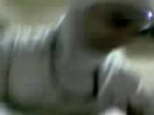 Covered arab kuweiti nurse with hijab blowjob