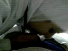 Covered arab kuweiti nurse with hijab blowjob