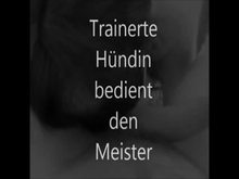Trainierte Huendin bedient den Meister
