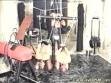 Young male slaves humiliated and penetrated