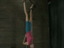 Blowjob in inverted suspension