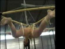 Suspension bondage and whipping