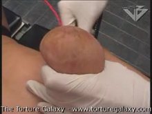 Correct method to bind udders for her weight
