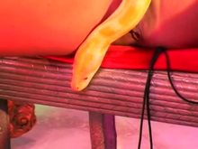 Bald Girl in Chains Solo Play