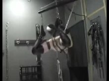 Maso slut