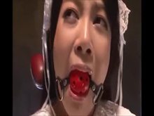 Ring Gagged Cock Sucker