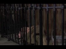 Brunette sex slave