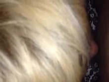 Collared amateur sub blowjob