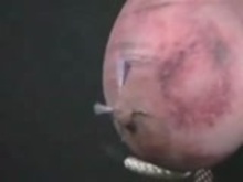 Tit Torture - Breasts in training