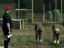Master Costello - Military Camp