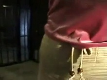 Bound Japanese Tits